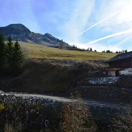 Rdc 4 Pers, Acces Pistes, Parking - Fr-1-241-96 Апартаменты Ле-Гран-Борнан